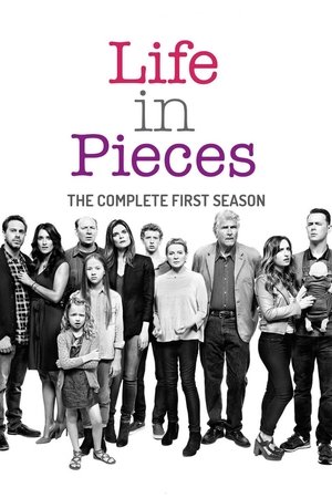 Life In Pieces