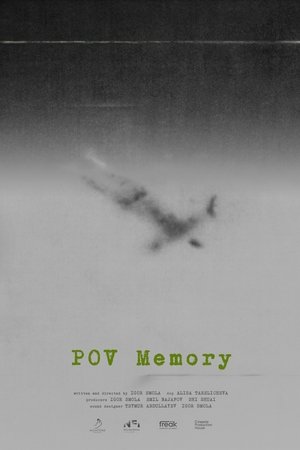 POV Memory