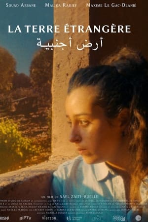 The foreign land