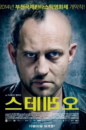 스테레오