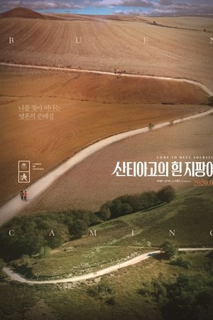 산티아고의 흰 지팡이