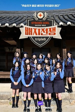 배지전쟁