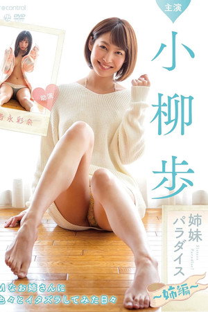 姉妹パラダイス 姉編 poster