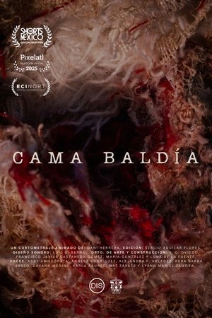 Cama Baldía