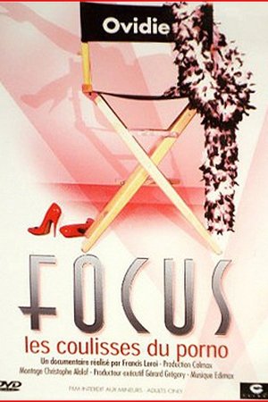 Focus