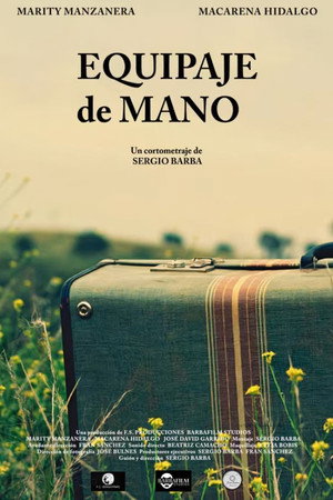 Hand Luggage poster