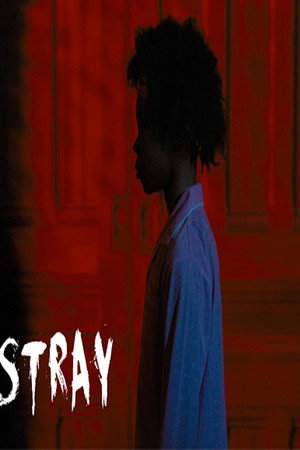 Stray poster