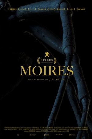 Moires