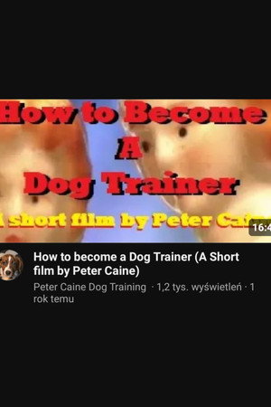 How to become a Dog Trainer poster