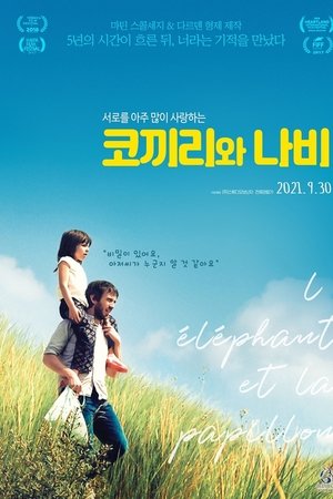 코끼리와 나비