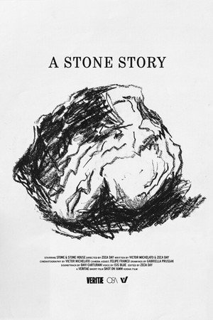 A Stone Story