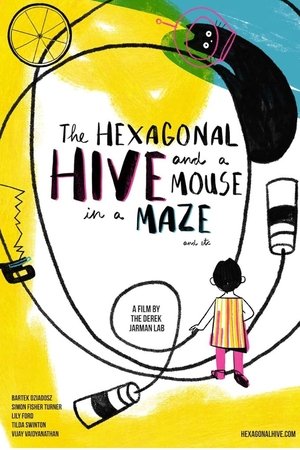 The Hexagonal Hive and a Mouse in a Maze