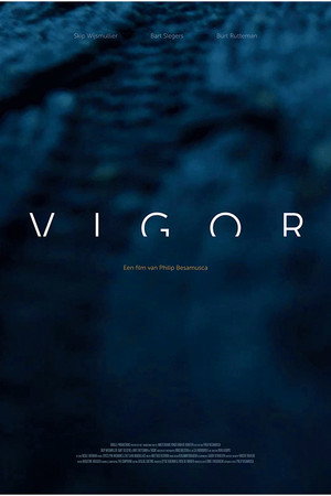 Vigor Vigor