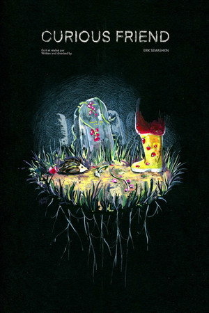 Curious Friend poster