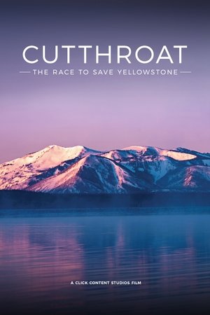 Yellowstone: A Cutthroat Business