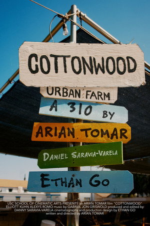 Cottonwood poster