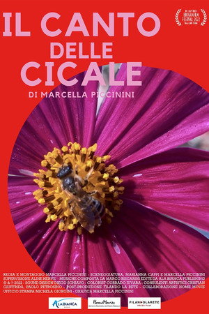 IL CANTO DELLE CICALE poster