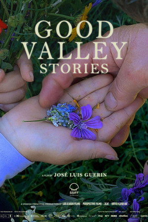 Good Valley Stories poster