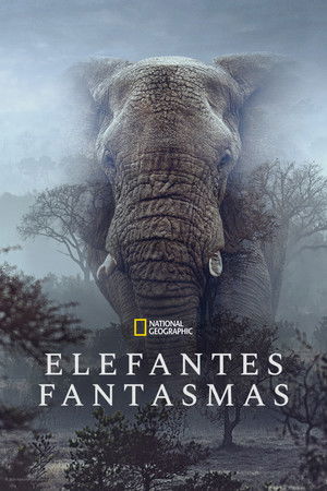Poster do filme Ghost Elephants