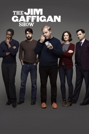 The Jim Gaffigan Show