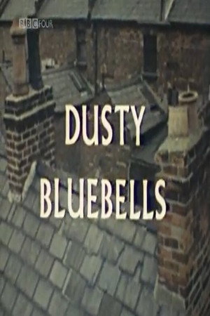 Dusty Bluebells Dusty Bluebells