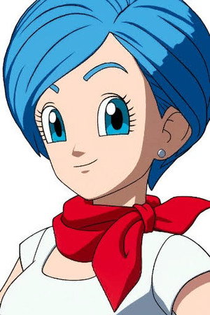 Portrait of Bulma Brief