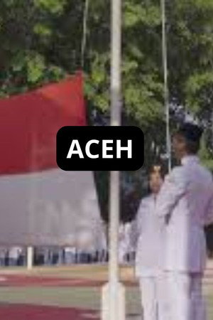ACEH poster