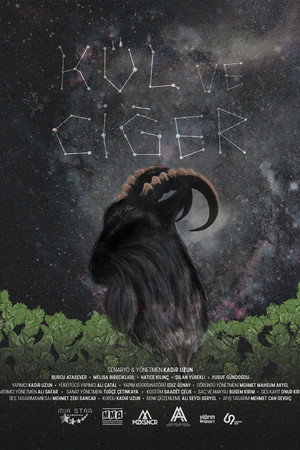 Kül ve Ciğer poster