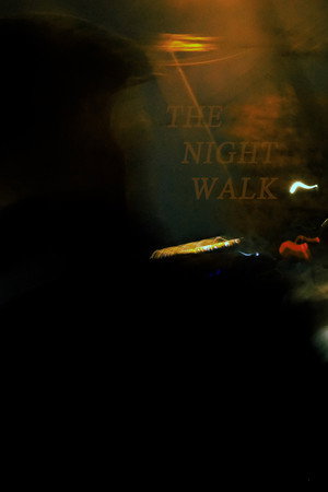 The Night Walk The Night Walk