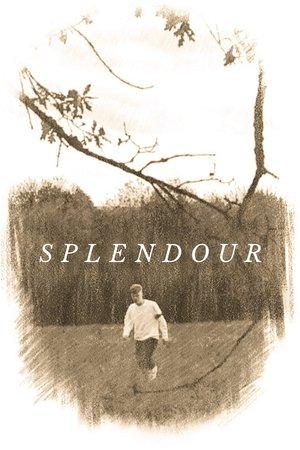 Splendour