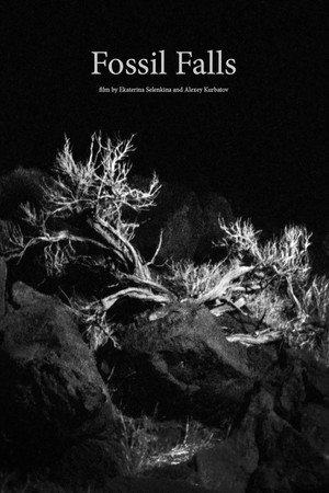 Fossil Falls poster