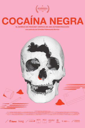 Black Cocaine