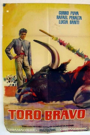 Toro bravo poster
