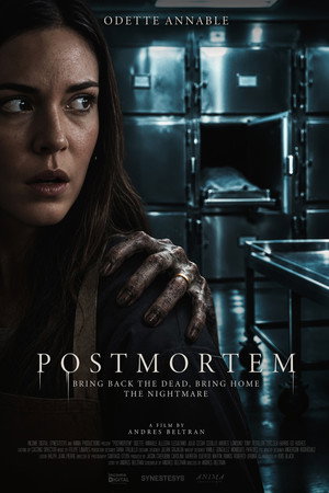 Postmortem