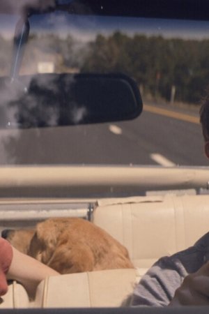 What We Find on the Road