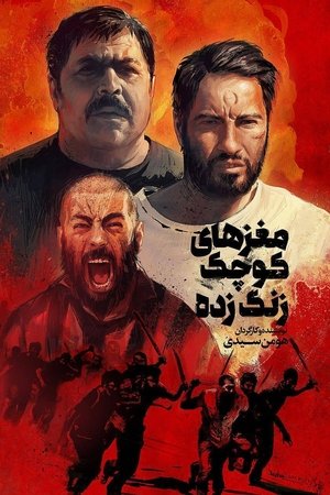 쉬플