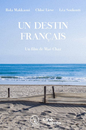Un destin français poster
