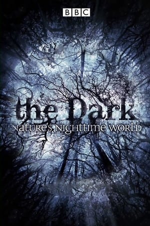 The Dark: Nature