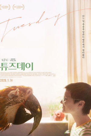 튜즈데이