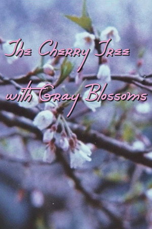 The Cherry Tree with Gray Blossoms poster