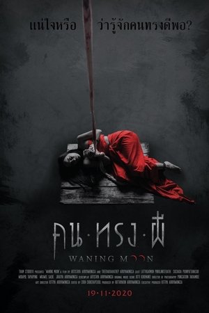 คน ทรง ผี