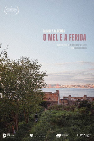 O mel e a ferida poster