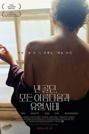 낸 골딘, 모든 아름다움과 유혈사태