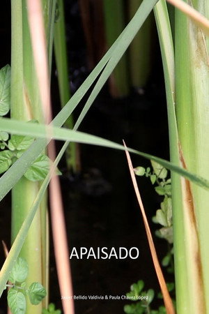 Apaisado poster