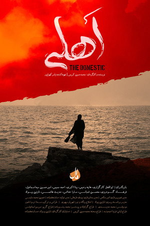 اهلی