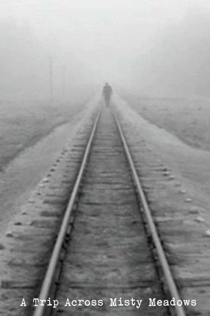 A Trip Across Misty Meadows poster
