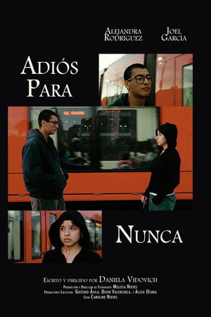 Adiós Para Nunca poster