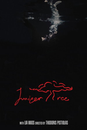 Juniper Tree Juniper Tree