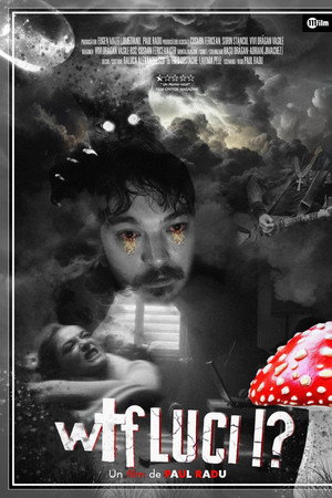 WTF LUCI! poster