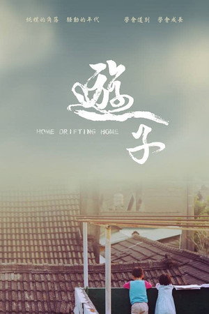Home Drifting Home poster